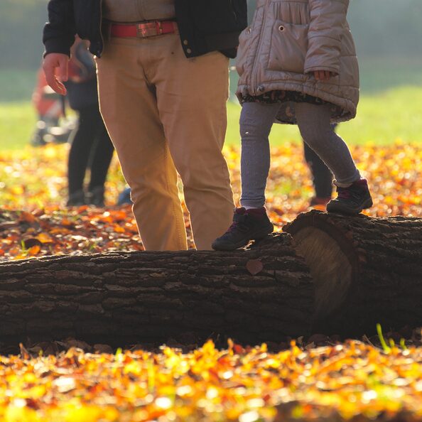 Eine erwachsene Person hilft einem Kind auf einem Baumstamm zu laufen, in einer herbstlichen Landschaft