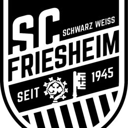 SC Schwarz-Weiß Friesheim Logo