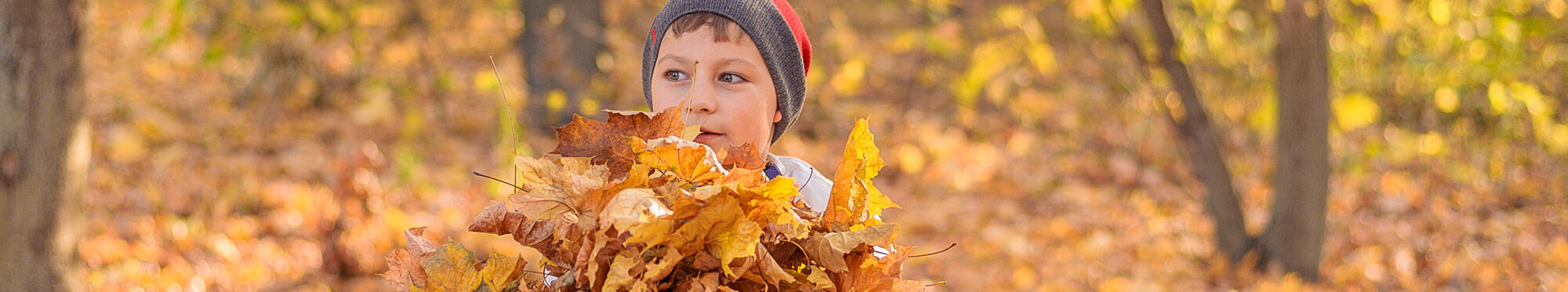Junge spielt mit Herbstlaub