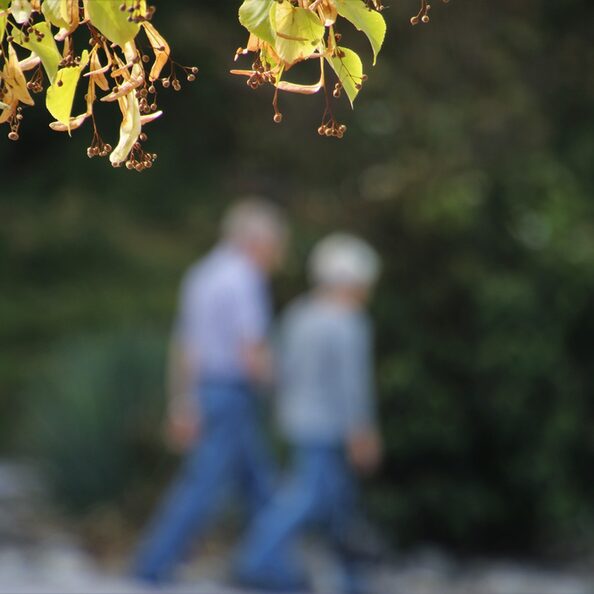 Ein älteres Paar in Jeans im unscharfen Hintergrund vor grün. Blätter im Vordergrund