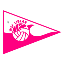 Logo WSF Liblar, ein dreieckiger, pinkfarbener Wimpel mit einem Ball in einer stilisierter Welle