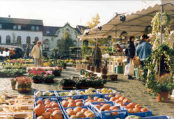 Wochenmarkt in Lechenich
