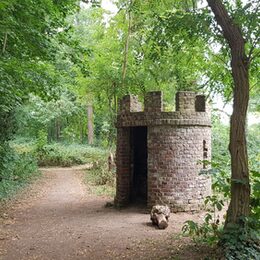 Zinnentürmchen im Schlosspark Lechenich