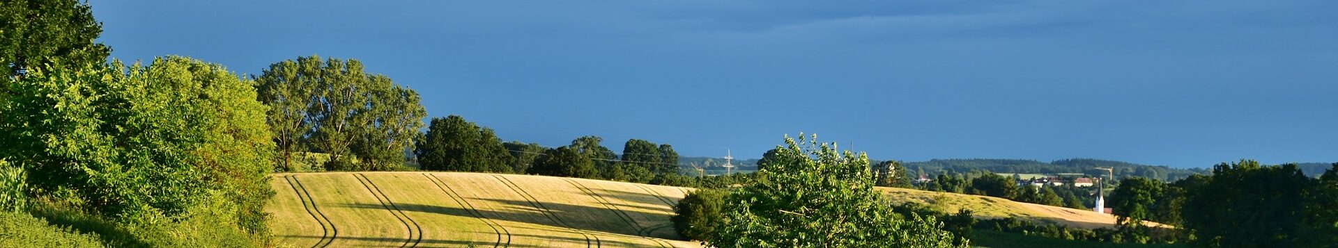 Landschaft mit Getreidefeldern, Hecken und Bäumen.