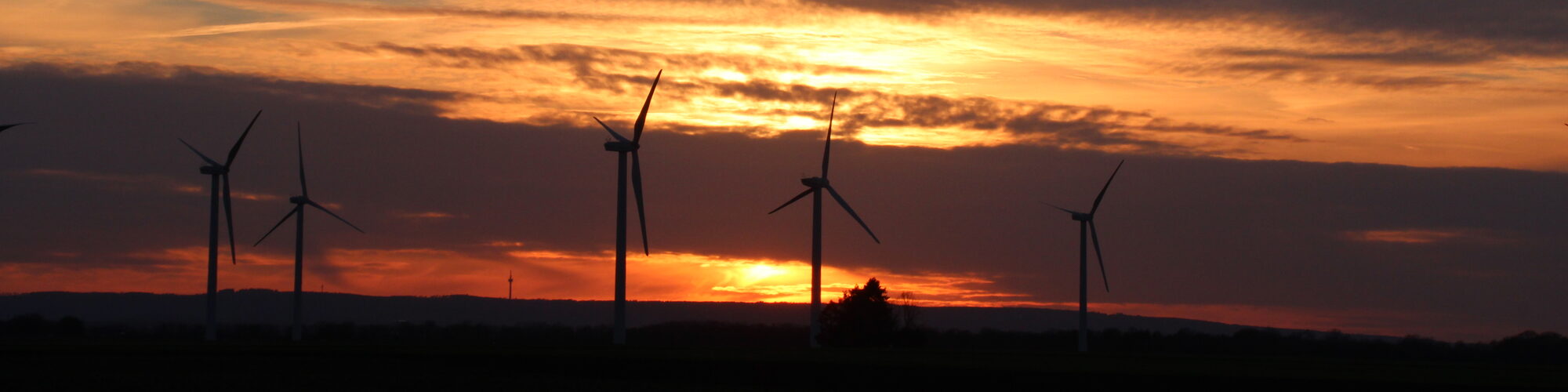 Windräder im Sonnenuntergang bei Erftstadt-Erp